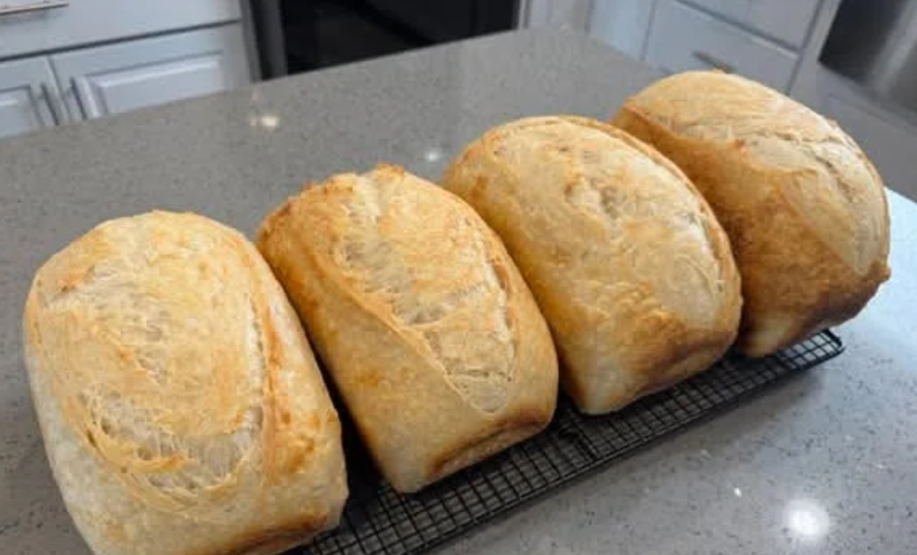 Sourdough Sandwich Bread Recipe